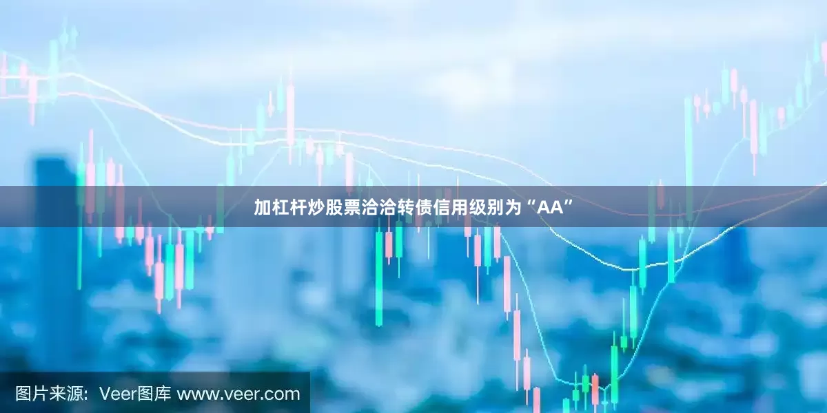 加杠杆炒股票洽洽转债信用级别为“AA”