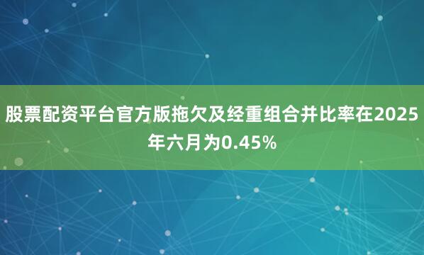 股票配资平台官方版拖欠及经重组合并比率在2025年六月为0.45%