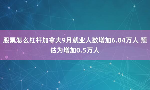 股票怎么杠杆加拿大9月就业人数增加6.04万人 预估为增加0.5万人